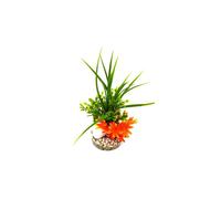 LABEO-Algue épée verte en plastique avec pierres 10 x 28 cm