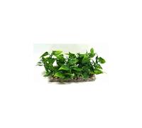 LABEO-Barre de gazon vert en plastique 13 x 5 x 7 cm