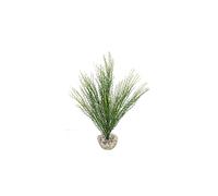LABEO-Herbe corail verte en plastique moyen modèle 22 cm