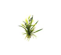 LABEO-Herbe euca verte en plastique 30 cm
