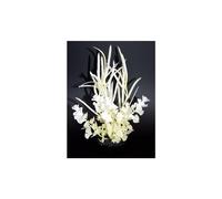 LABEO-Herbe papillon blanche en plastique