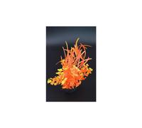 LABEO-Herbe papillon orange en plastique 15 cm