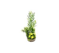 LABEO-Jardin assorti vert en plastique 25 cm