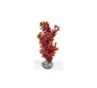 LABEO-Ledwiga bordeaux-marron en plastique grand modèle 24 cm
