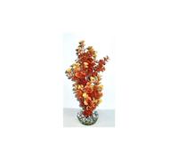 LABEO-Ledwiga ocre-crème en plastique grand modèle 24 cm