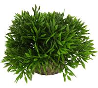LABEO-Plante artificielle pour aqua-terrarium coloris vert LABEO Bambou