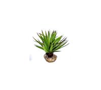 LABEO-Plante succulente verte en tissu moyen modèle diamètre 10 cm