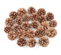 Laber Lot de 24 pommes de pin naturelles avec corde argentée pour sapin de Noël, guirlandes de fleurs, cadeaux, décoration d'hiver