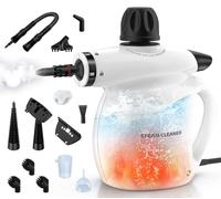 LABIGO Lot de 13 défroisseurs vapeur sous pression multi-usages naturels pour nettoyage de la maison, des joints, de la cuisine, de la voiture, des fenêtres, des tissus d'ameublement, de la salle de