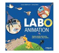 Labo animation: Dessins animés, flipbooks, pâte à modeler, stop motion...