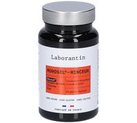 LABORANTIN Morosil - Minceur Capsule(S) 60 pc(s)