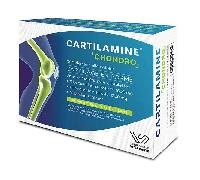 Laboratoire Vital Santé Cartilamine Chondro, bien être articulaire, 60 comprimés