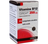 Laboratoires Gerda Vitamine B12 Gerda 250µg 24 Comprimés Sécables