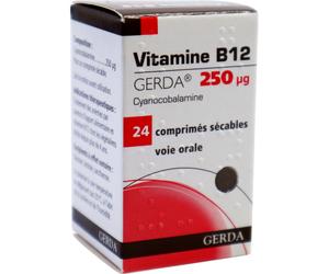 Laboratoires Gerda Vitamine B12 Gerda 250µg 24 Comprimés Sécables