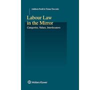 Labour Law in the Mirror: Categories, Values, Interlocutors