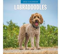 Labradoodles - Calendrier mural carré 2026 - par Red Robin Publishing