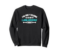 Labradoodles I'm Only Talking to My Labradoodle Today Sweatshirt