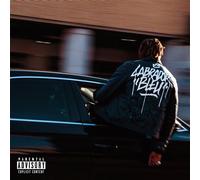 Labrador Bleu Vinyle