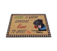 Labrador, Chien Drôle Personnalisé avec Rose, Cadeau du Labrador La Maison Est L'Endroit Paillasson D'Entree Doux Tapis De Porte Antidérapant Tapis De Bain 40X60Cm