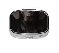 Labrador noir adopté curieux, boîte à pilules Meta à 2 compartiments, organiseur portable