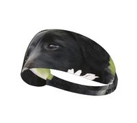 Labrador Noir Camomille Chiens Retriever Noirs,Bandeau de Sport Unisexe, Bandeau élastique Multi-usages pour Cheveux