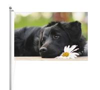 Labrador noir Camomille Chiens Retriever Noirs,Drapeau de jardin, bannière décorative, drapeau double face, 2 x 3 pieds, pour extérieur et intérieur