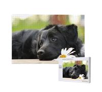 Labrador Noir Camomille Chiens Retriever Noirs,Puzzle Familial en Bois de 1 000 pièces pour Adultes et Adolescents, décoration d'intérieur