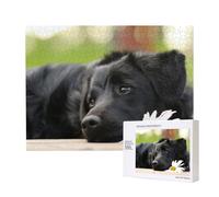 Labrador Noir Camomille Chiens Retriever Noirs,Puzzle Familial en Bois de 500 pièces pour Adultes et Adolescents, décoration d'intérieur