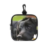 Labrador Noir, Camomille, Chiens Retrievers Noirs,Pochette de Rangement carrée à Fermeture éclair, Porte-Monnaie en néoprène, Petit Portefeuille, Pochette à Monnaie, Porte-Monnaie