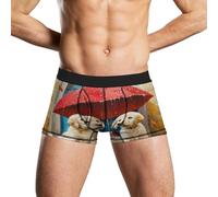 Labrador Puppies Dogs Mens Boxers Slip Imprimé Trunks Short Pants Sous-vêtements Sports Gym Underpants Style2585, Comme indiqué sur la photo, XXL