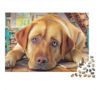 Labrador Retriever 1000 Pièces Puzzle Unique Décoration Moderne Yellow Labrador couché au Sol Puzzles Jouets De Difficiles pour Adultes 70x50cm/1000pcs