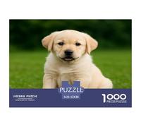 Labrador Retriever 1000pcs pour Adultes et Enfants Un Chiot Labrador Jaune Assis dans l'herbe, la Gueule Ouverte. Jeu éducatif idéal pour se détendre. 52x38 cm/1000pcs