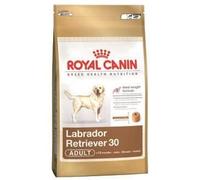Labrador Retriever Adult 3 KG