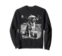 Labrador Retriever Buvant du café glacé Animal Chien Meme Sweatshirt
