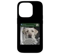 Labrador Retriever : il y a du Mouvement à Votre Porte d'entrée Coque pour iPhone 14 Pro