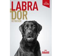 Labrador Retriever: L'histoire d'un compagnon d'exception