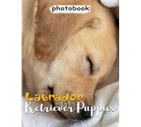Labrador Retriever Puppies Photo Book: Photography Book About A Cute Dog With 40 Photos Inside Gift To Decor And Have Good Time