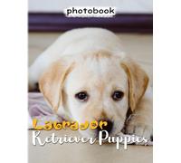 Labrador Retriever Puppies Photo Book: Photography Book About A Cute Dog With 40 Photos Inside Gift To Decor And Have Good Time