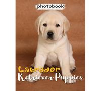 Labrador Retriever Puppies Photo Book: Photography Book About A Cute Dog With 40 Photos Inside Gift To Decor And Have Good Time