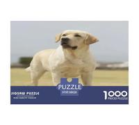 Labrador Retriever Puzzle 1000 Pièces Educa Jouet en Bois Divertissement Créatif Décoration Intérieure Yellow Lab Standing on Open Grassy Field Jeu Éducatif Challenge Toy Adultes & Enfants des 14 Ans