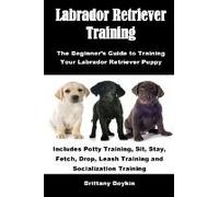 Labrador Retriever Training