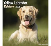 Labrador Retriever (Yellow) Calendar 2025 Square Dog Breed Wall Calendar - 16 Month