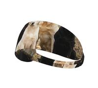 Labrador Retrievers Chiens Noir Doré Blanc Marron,Bandeau de Sport Unisexe, Bandeau élastique Multi-usages pour Cheveux