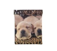 Labradors Petits Chiots Golden Retriever, Sac de Rangement pour Femmes, Portefeuille supérieur à Presser, Petit Porte-Monnaie, Pochette de Changement