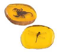 LABRIMP 2 Pièces Pendentif Ambre en Résine Jaune, Spécimen Insecte | Bijou Simple et Élégant, Détails Soignés, Design Unique, Charme Décoratif pour Créations Artisanales