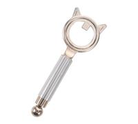 LABRIMP Outil de Magnétisme pour Ongles Chat Argenté en Métal, Forme Boule et Cercle Creux, Créativité Polyvalente pour Usage à Domicile et DIY