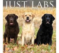 Labs 2027 Wall