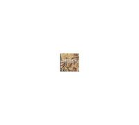 Labyrinth : Musiques Bulgares Medievales Ens. L'orient Imaginaire