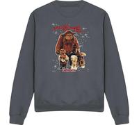 Labyrinth - "Should You Need Us" Sweatshirt für Herren/Damen Uni TV20088 (S) (Holzkohle)