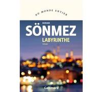 Labyrinthe Burhan Sönmez (Auteur), Julien Lapeyre de Cabanes (Traduction)